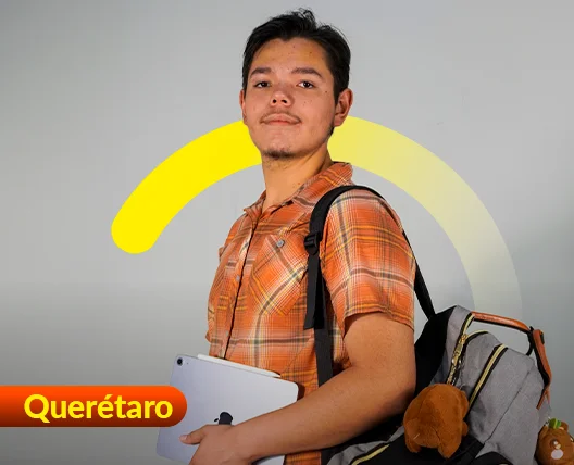 Imagen Principal del Producto