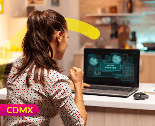 Imagen Principal del Producto